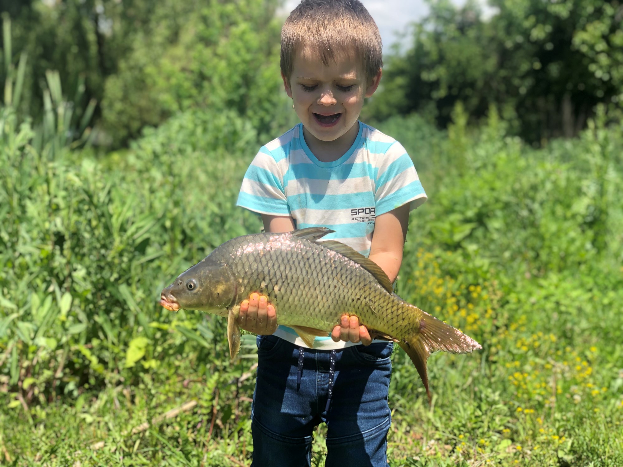 Hermes Peris 1 iun. - BE7C770033F749B88BD748869DB9B7AE.jpg